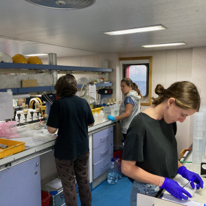 Work in the Lab filtering for biomarkers