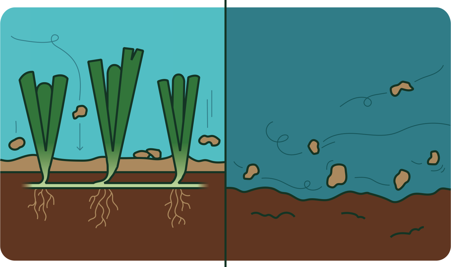 Soil Differences