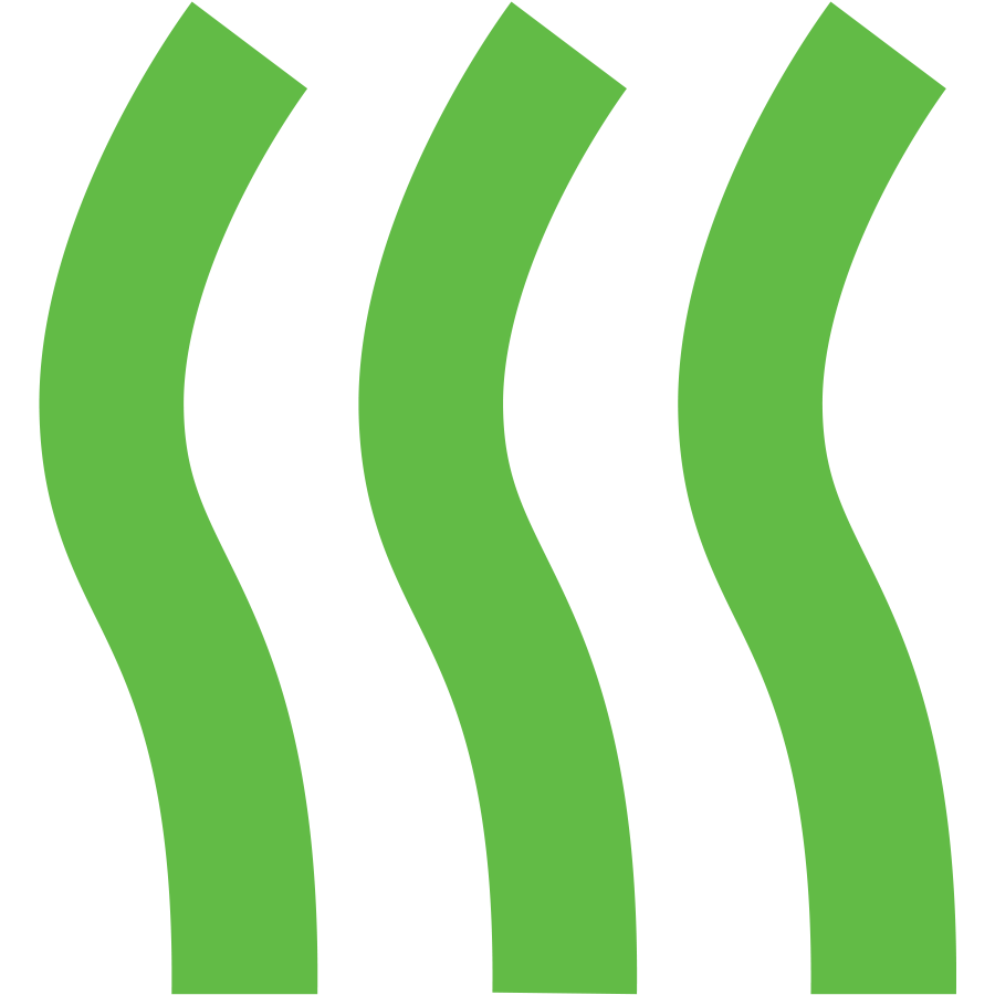 Icon Seagrass