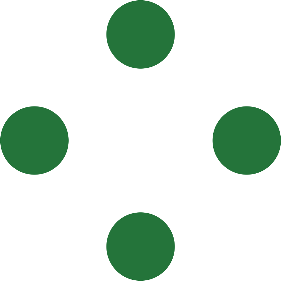 Icon Points