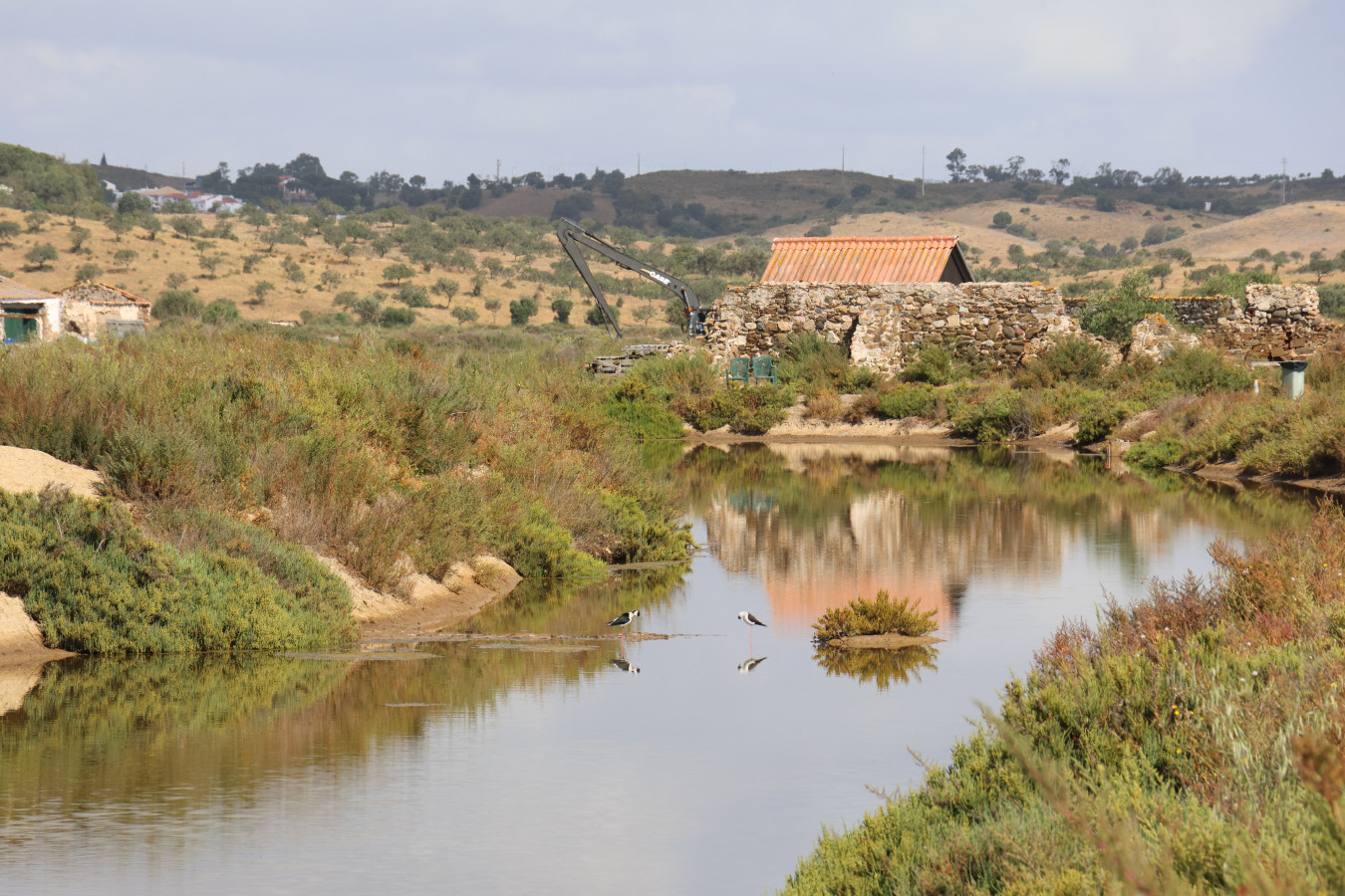 Passaros das salinas tradicionais de castro marim