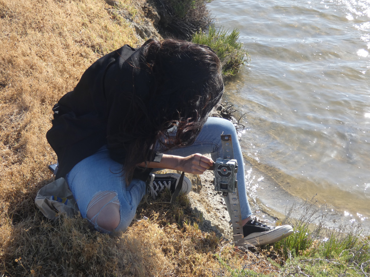 Camara